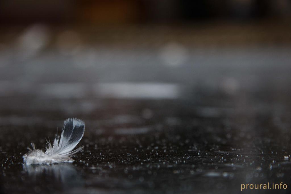 В Башкирии похолодает до -12 °С