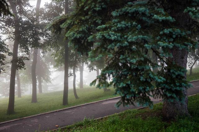 С начала года в Башкирии клещи покусали более девяти тысяч человек