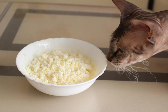 В больнице Башкирии обнаружили поддельный творог