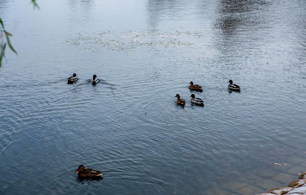 В Чишминском районе планируют производить бутилированную воду