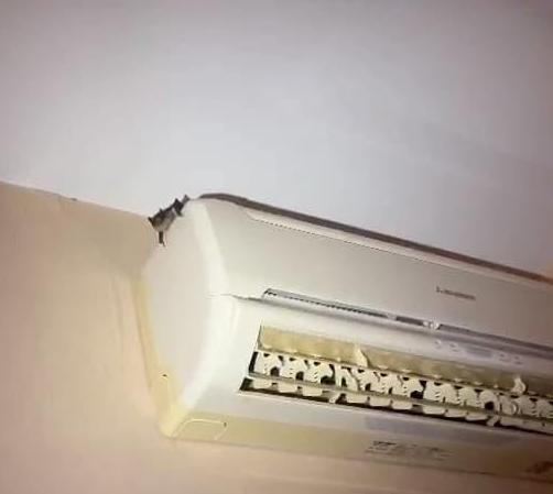 В Уфе вызволили залетевшую в многоэтажку летучую мышь