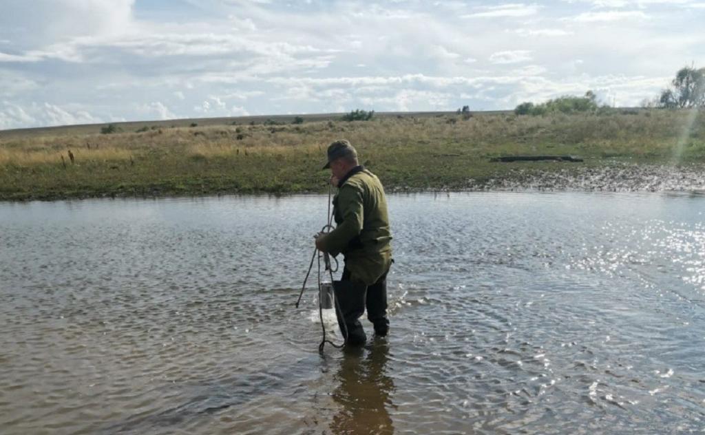 В Башкирии выясняют причины гибели рыбы в двух реках