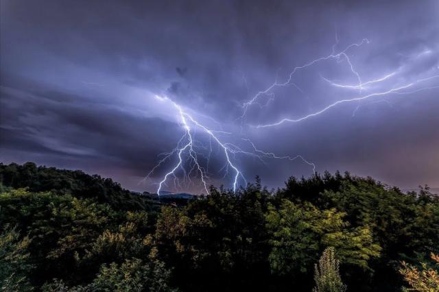 В районе Башкирии ударом молнии убило табун лошадей