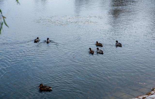 В Чишминском районе планируют производить бутилированную воду