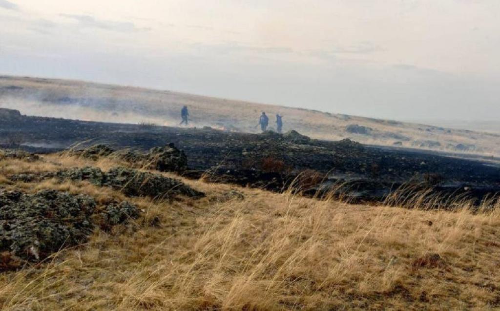 В Башкирии за день от природных пожаров спасли два населенных пункта