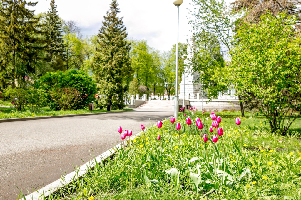 Салават вошел в число городов-лидеров по экоактивизму