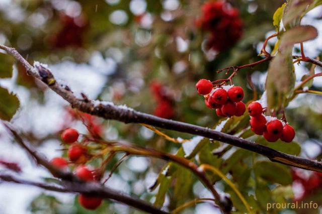 Синоптики Башкирии спрогнозировали мокрый снег и заморозки