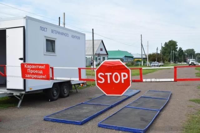 В деревне Башкирии объявили карантин из-за бешенства животных