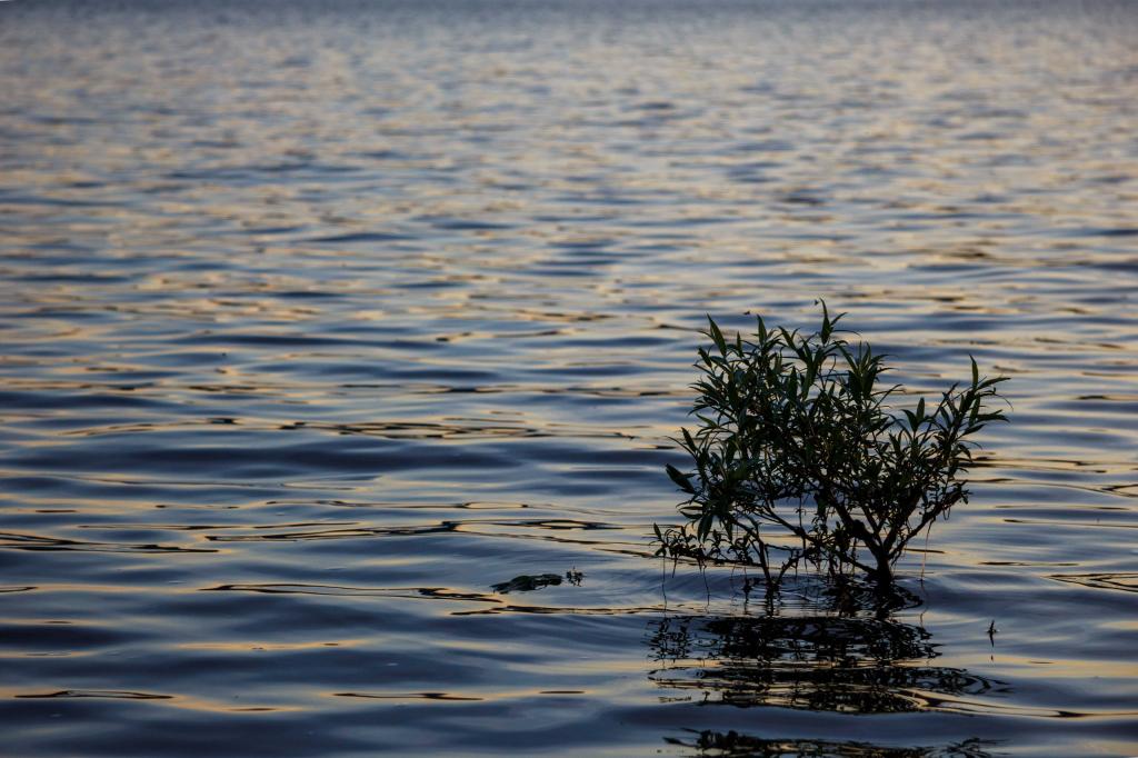 В Башкирии в 2022 году очистят пруд и участок реки Демы 