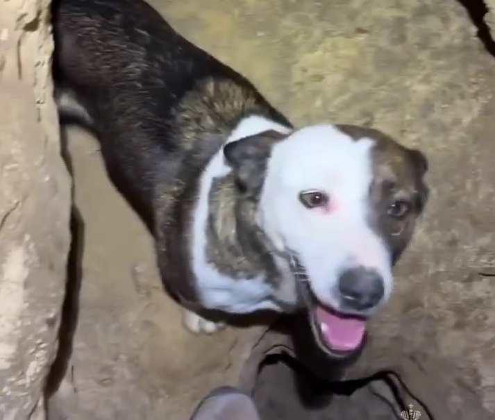 В Башкирии спасатель вызволил пса из каменной ловушки в пещере