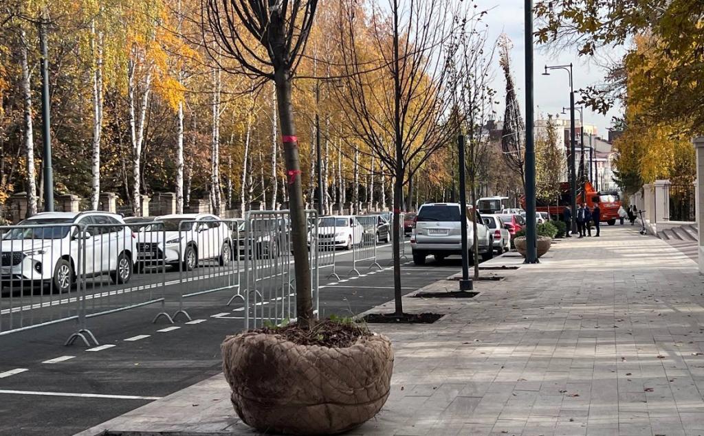 В Уфе собираются посадить 1,5 тыс. деревьев