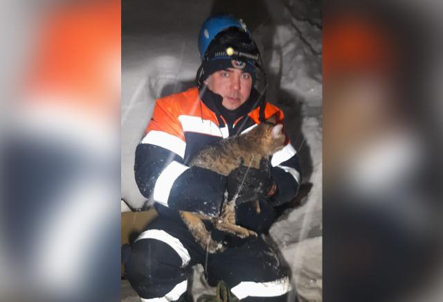 В Уфе спасатели вызволили кошку из дымохода