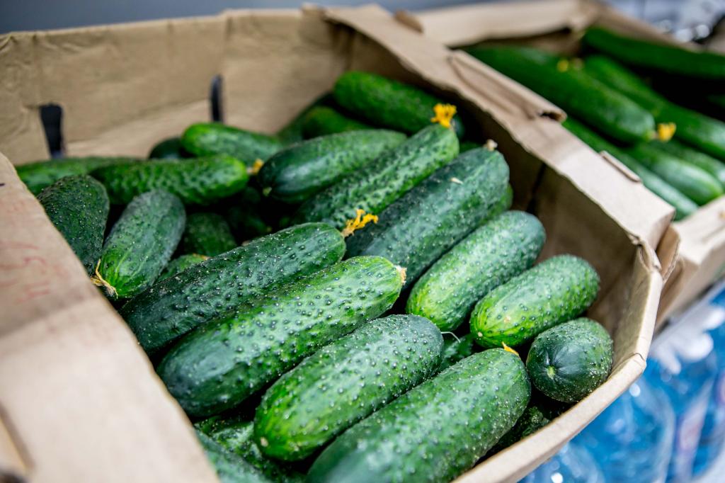 Глава Башкирии поручил увеличить число торговых точек для садоводов