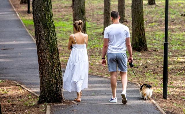 В Башкирии появится онлайн-реестр домашних животных