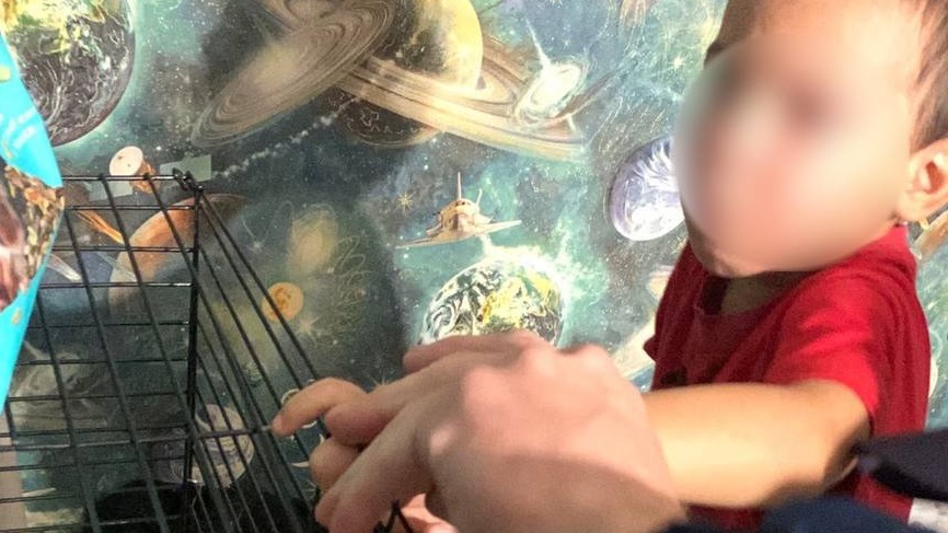 Спасатели помогли 4-летнему уфимцу освободить палец из клетки с крысами