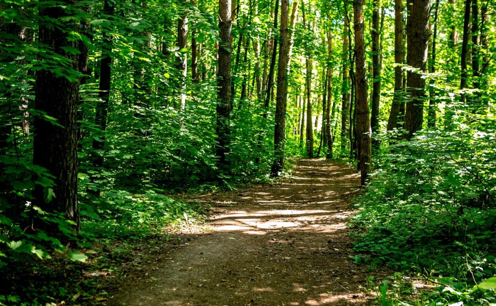 Муниципалитеты в Башкирии предлагают лишить части полномочий