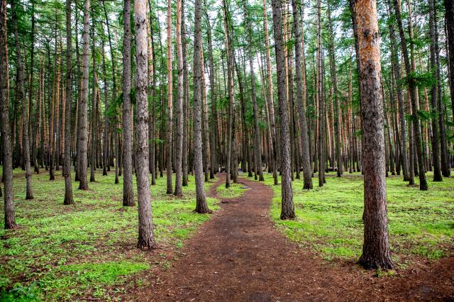 Лесоводы Башкирии получили патрульные автомобили