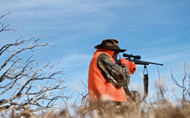 Жеребьевку разрешений для охотников в Башкирии переведут в электронный формат