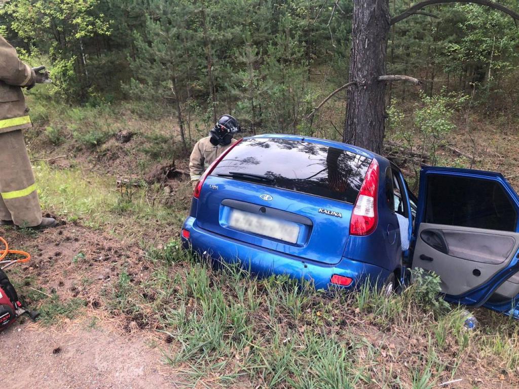 На трассе в Башкирии водитель сбил лося и погиб