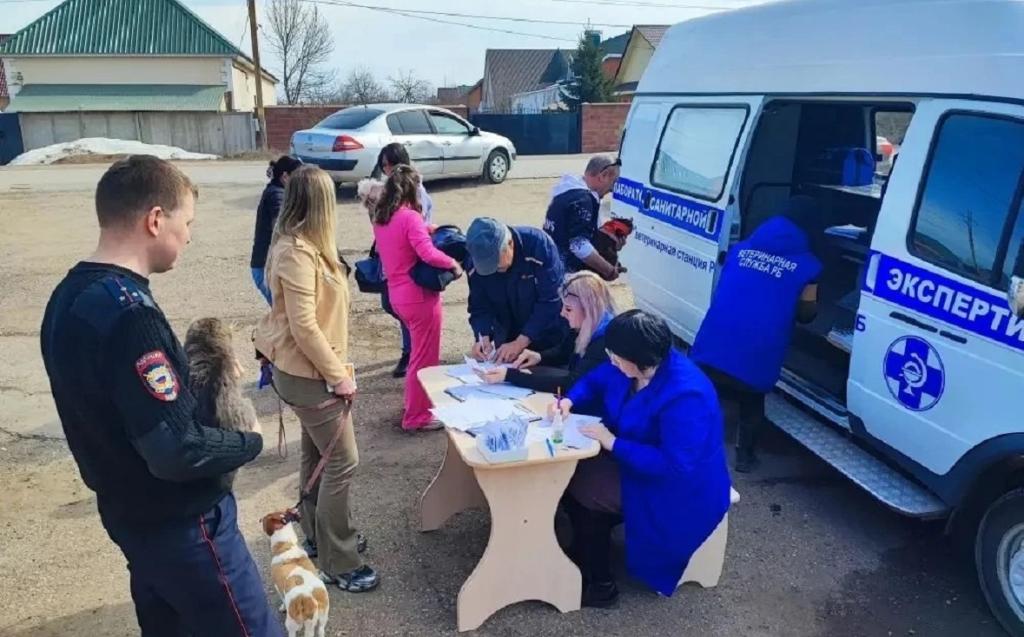 Жители Башкирии смогли бесплатно вакцинировать питомцев в ветеринарном «Поезде здоровья»