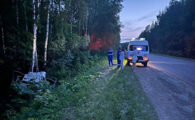 В ДТП с животными в Башкирии с начала года погибли шесть человек