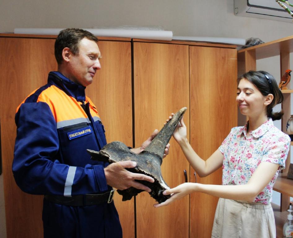 Стала известна судьба останков носорога, которые нашли уфимские спасатели