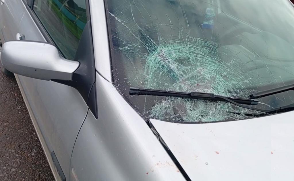 Водитель легковушки насмерть сбил женщину в селе Инзер в Башкирии