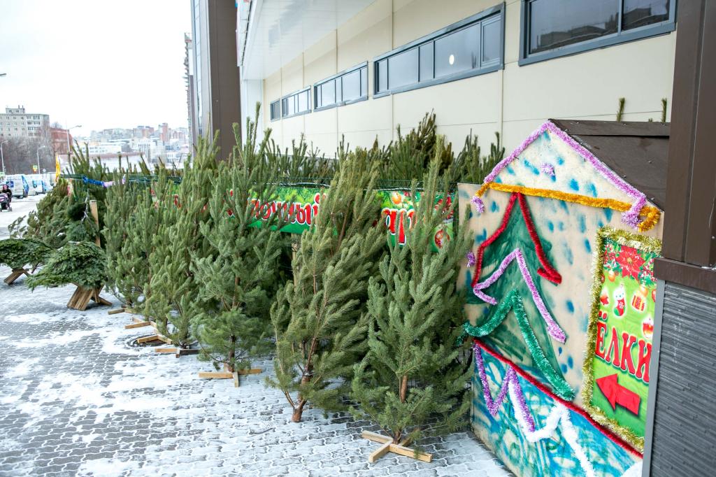 Уфимцам за сдачу елки в специальный бункер подарят мандарины