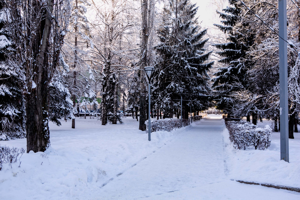 Синоптики дали актуальный прогноз погоды в Башкирии на новогоднюю ночь