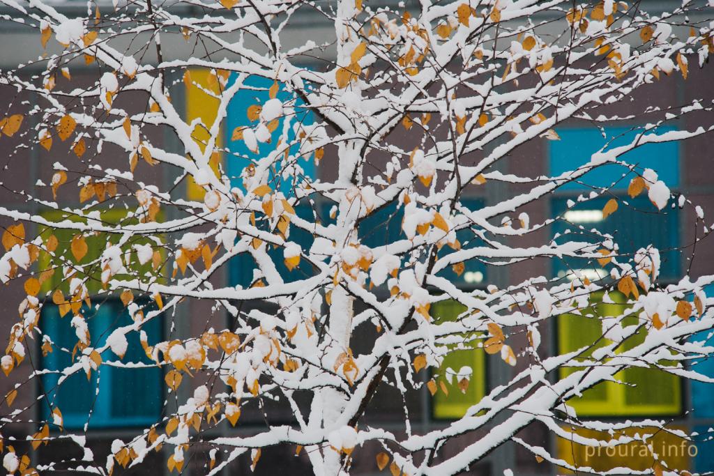 Синоптики Башкирии уточнили прогноз погоды на выходные