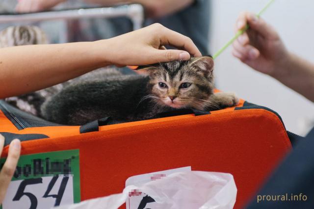 В Башкирском аграрно-технологическом колледже открылись две мастерские по стандартам WorldSkills