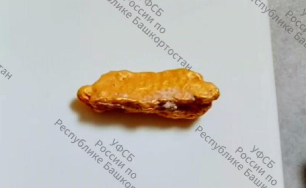 Жителю Челябинской области вынесли приговор за 2 кг золота и серебра из Башкирии