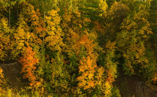 В Башкирии ситуация по пожарной опасности критическая в 10 районах