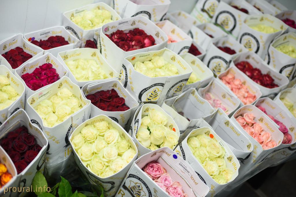 В Уфе родители сэкономят на подарках ко Дню учителя