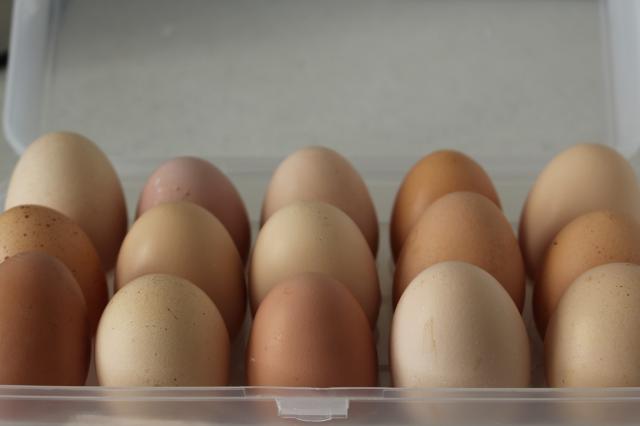 В Башкирии планируют построить мини-птицеферму