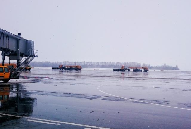 В самолете, летевшем в Уфу, сработал сигнал тревоги