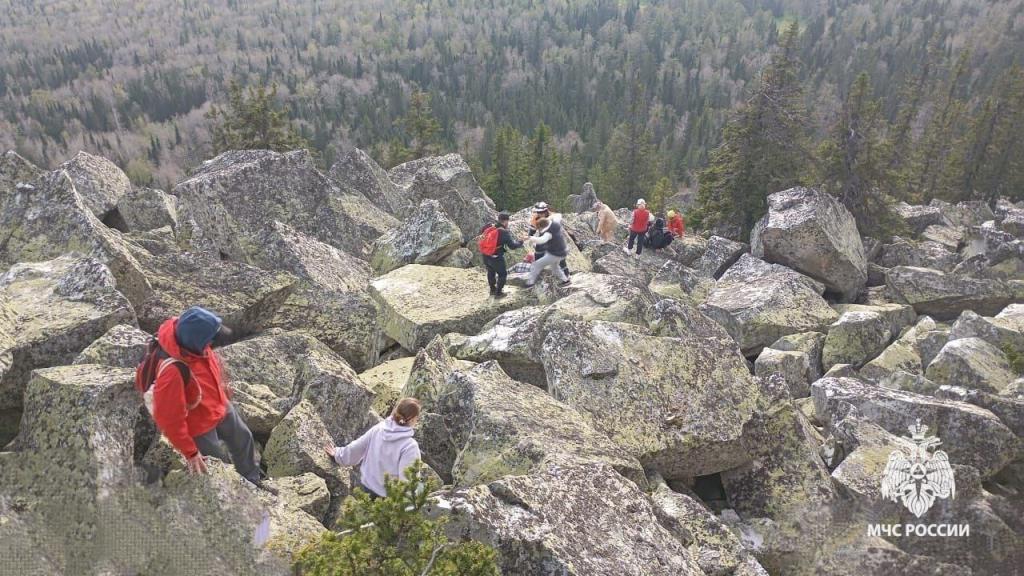 В Башкирии медведь загнал группу туристов на гору