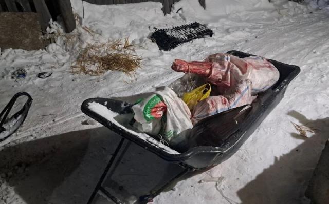 Застреленного браконьерами лося нашли в заповедной зоне Башкирии