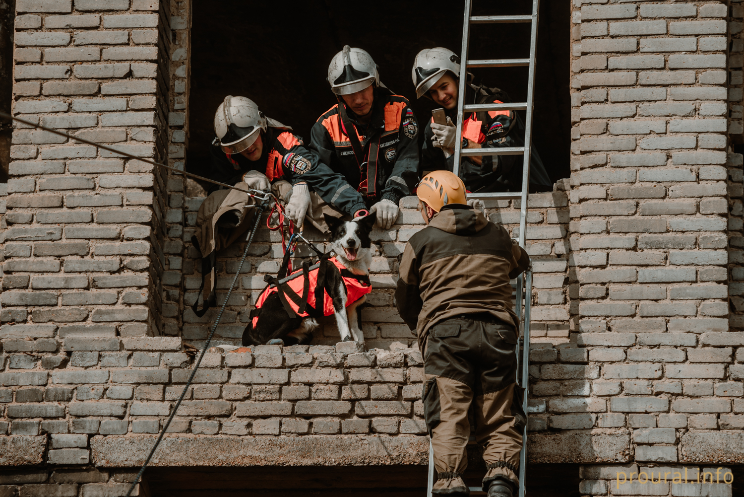 «Дым, завалы, трупы»: уфимские спасатели провели спецоперацию в заброшенных зданиях Новоалександровки