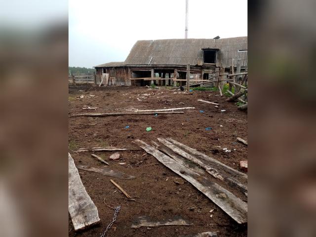 «Кости лошадей и бытовой мусор»: в Башкирии на базе отдыха в ужасных условиях держали животных