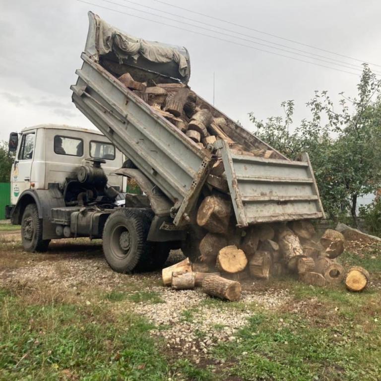 В Уфе семье мобилизованного помогут заготовить дрова