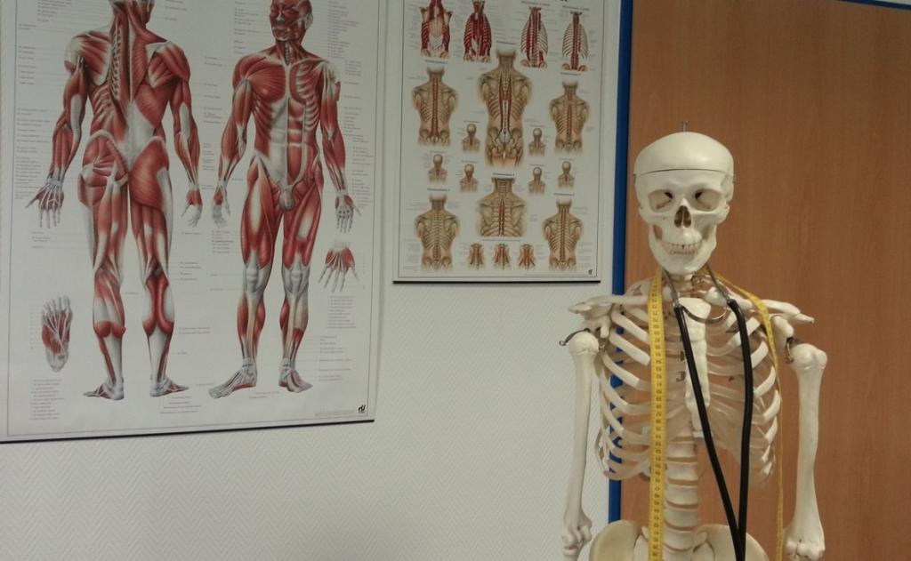 Музей здоровья предложили открыть в Башкирии