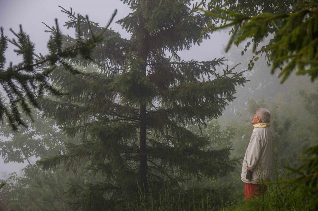 В теплице Аскинского лесхоза посеяли 40 тысяч семян ели и сосны