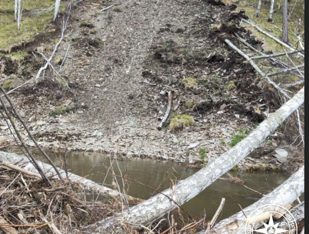 Деревья перекрыли реку в Башкирии после схода оползня