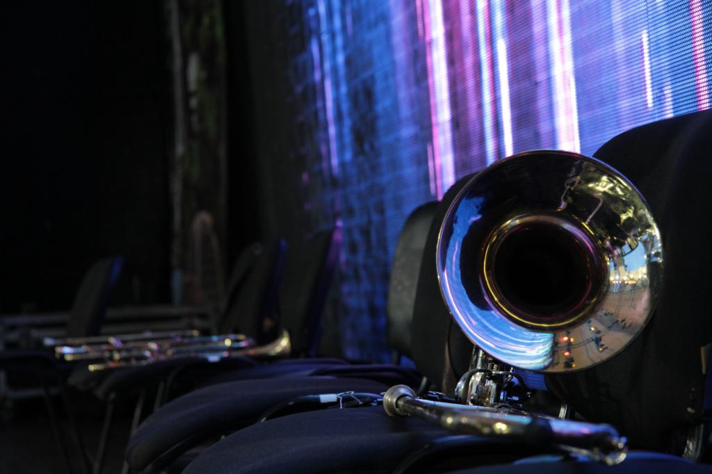 Жительницу Башкирии оштрафовали за нарушение закона о тишине