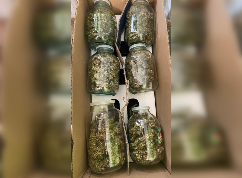 50-летний житель Башкирии сделал из своей квартиры наркооранжерею