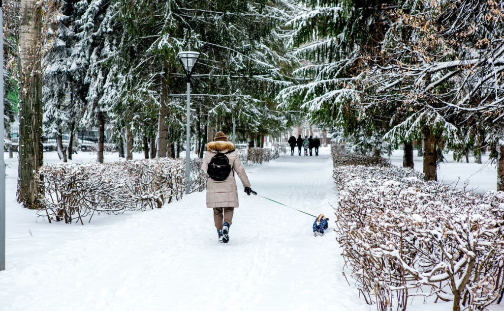 Синоптики прогнозируют морозы до -35 в Башкирии в выходные
