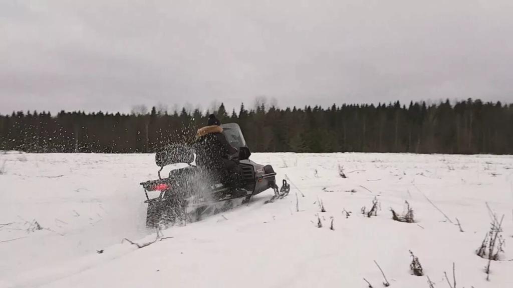 Двое мужчин в Башкирии застряли в поле на снегоходе
