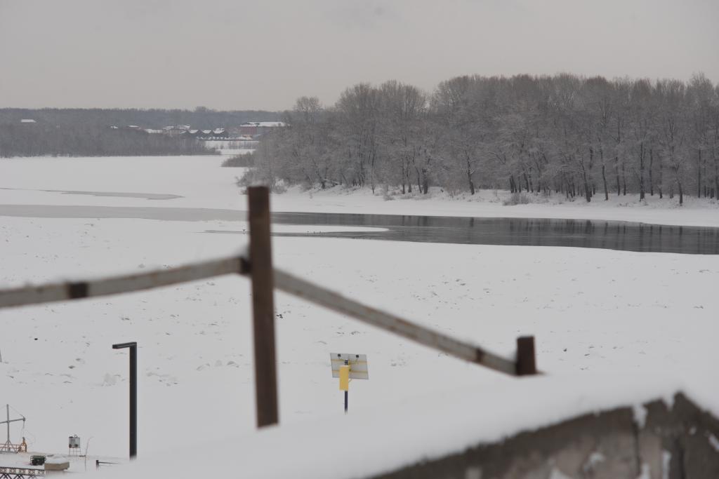 В Башкирии обнаружили пять незаконных скотомогильников