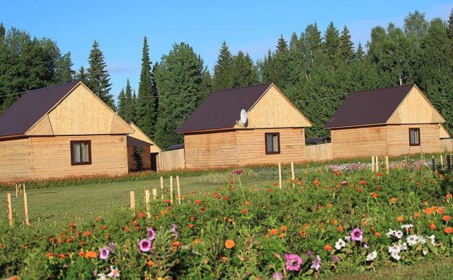 Выбитые стекла и сорняки: жителям Башкирии рассказали, за что можно лишиться участка